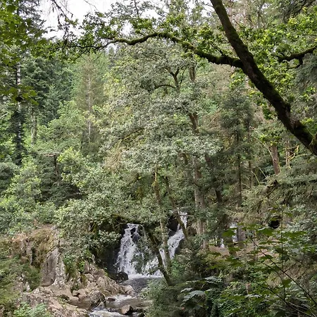 Le Petit Counehet Cornimont