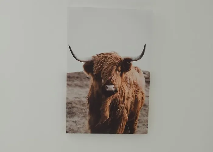 Le Petit Counehet Appartement *