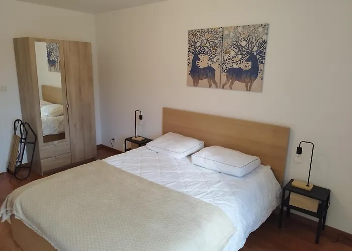 Le Petit Counehet Appartement *