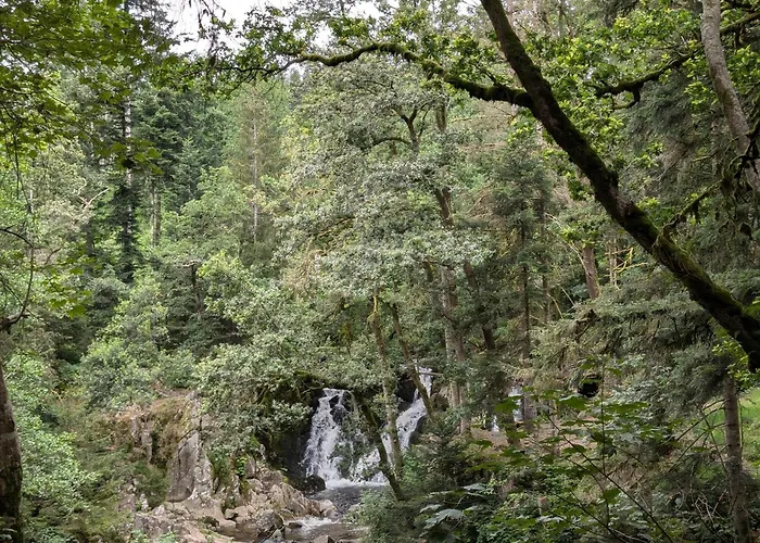 Le Petit Counehet Cornimont